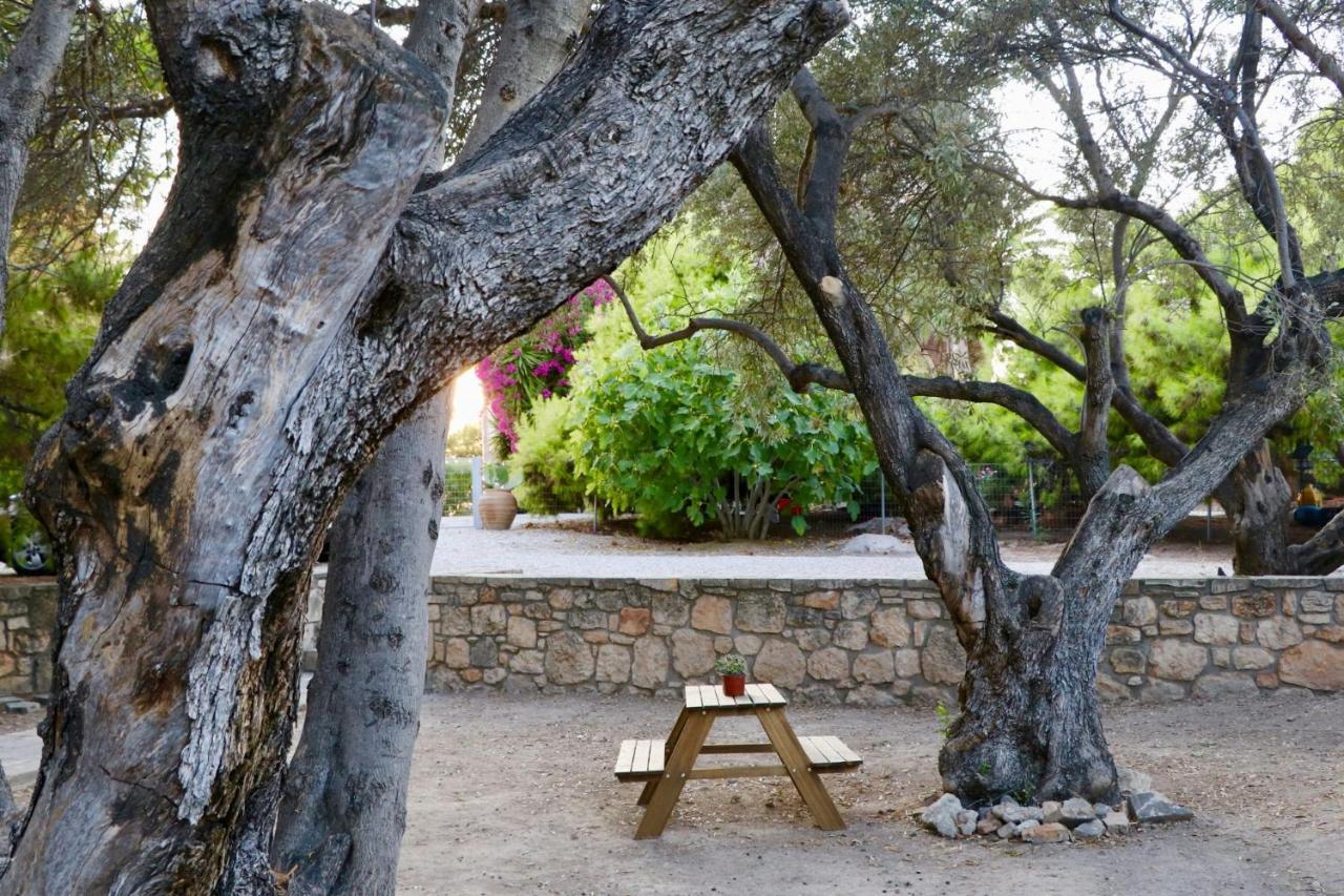 Pyrgos Ralli Estate Guesthouse Aegina Екстериор снимка