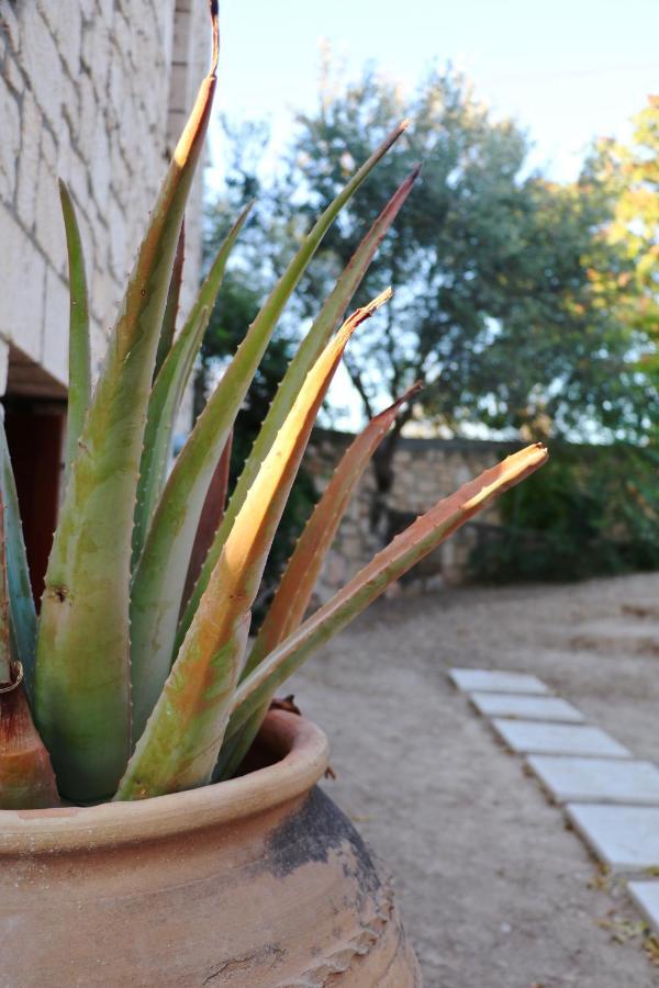 Pyrgos Ralli Estate Guesthouse Aegina Екстериор снимка